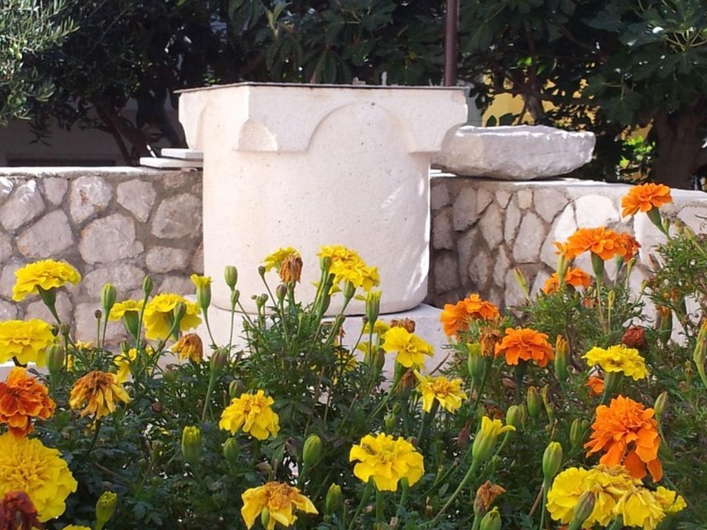 Apartments Franjo Mali Lošinj Extérieur photo